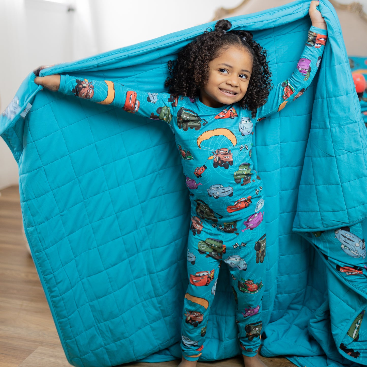 Cars Adventure Snuggle Blankets (2 SIZES!!)