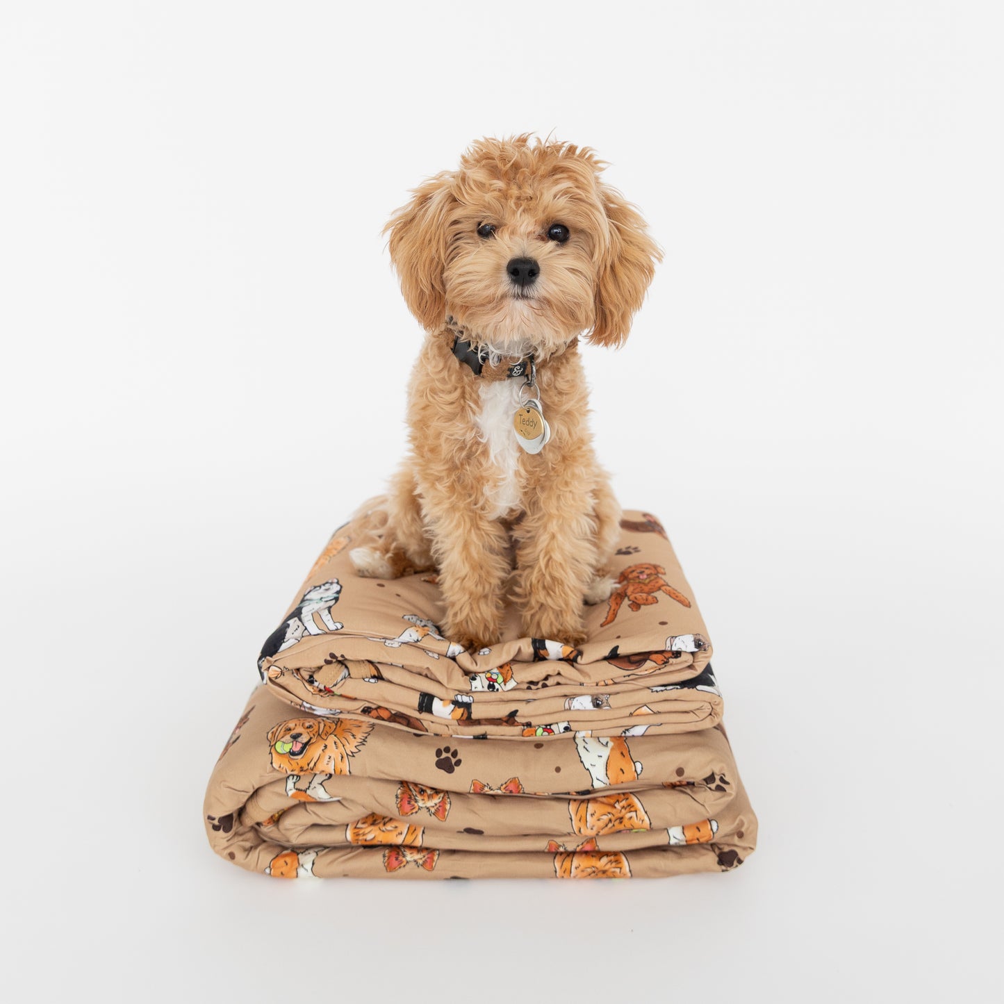 Snuggle Pups Snuggle Blankets (2 sizes)