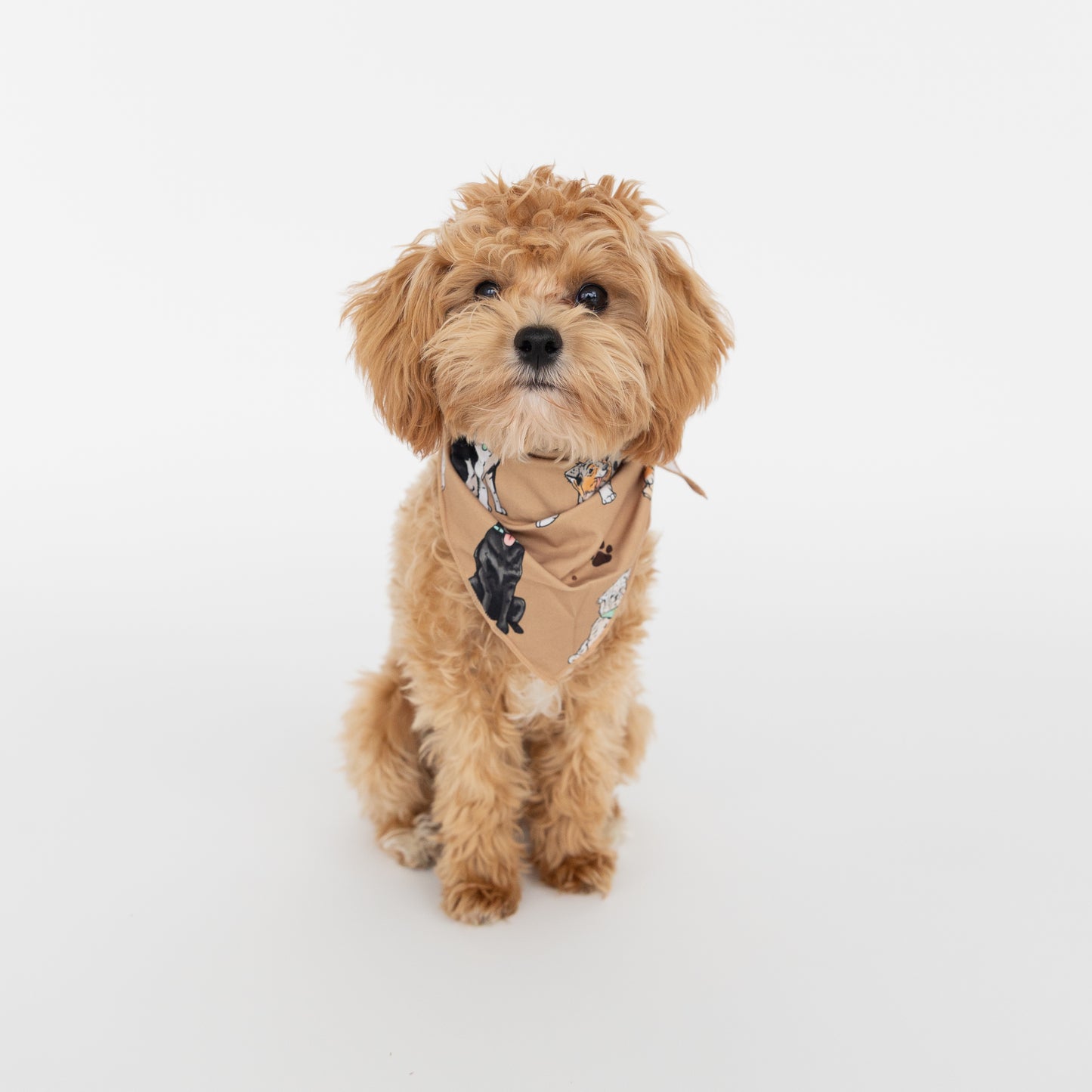 Snuggle Pups Dog Bandana