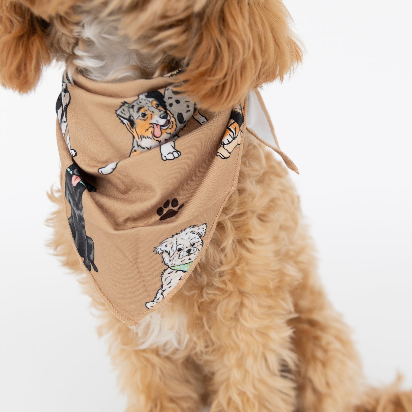 Snuggle Pups Dog Bandana