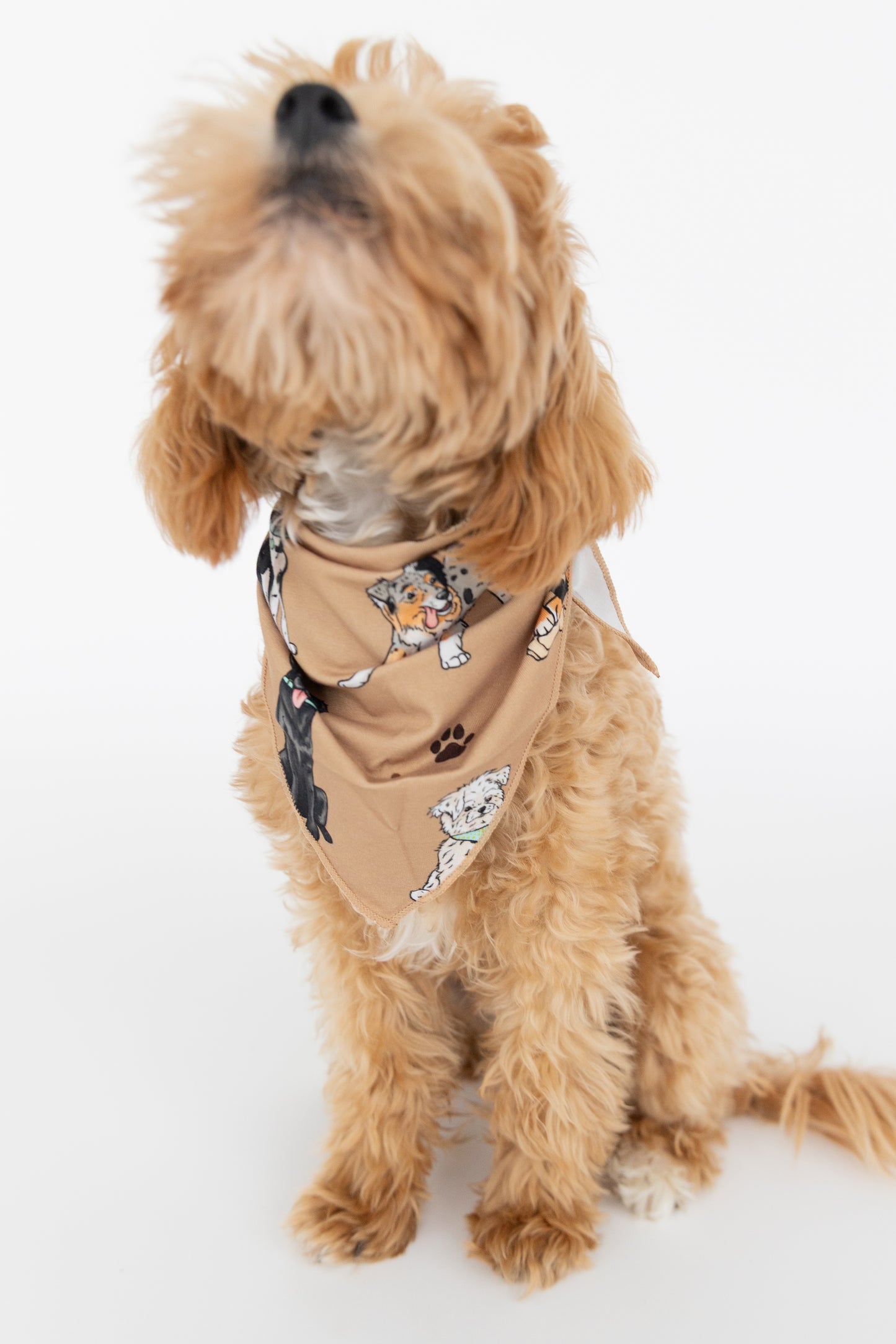 Snuggle Pups Dog Bandana