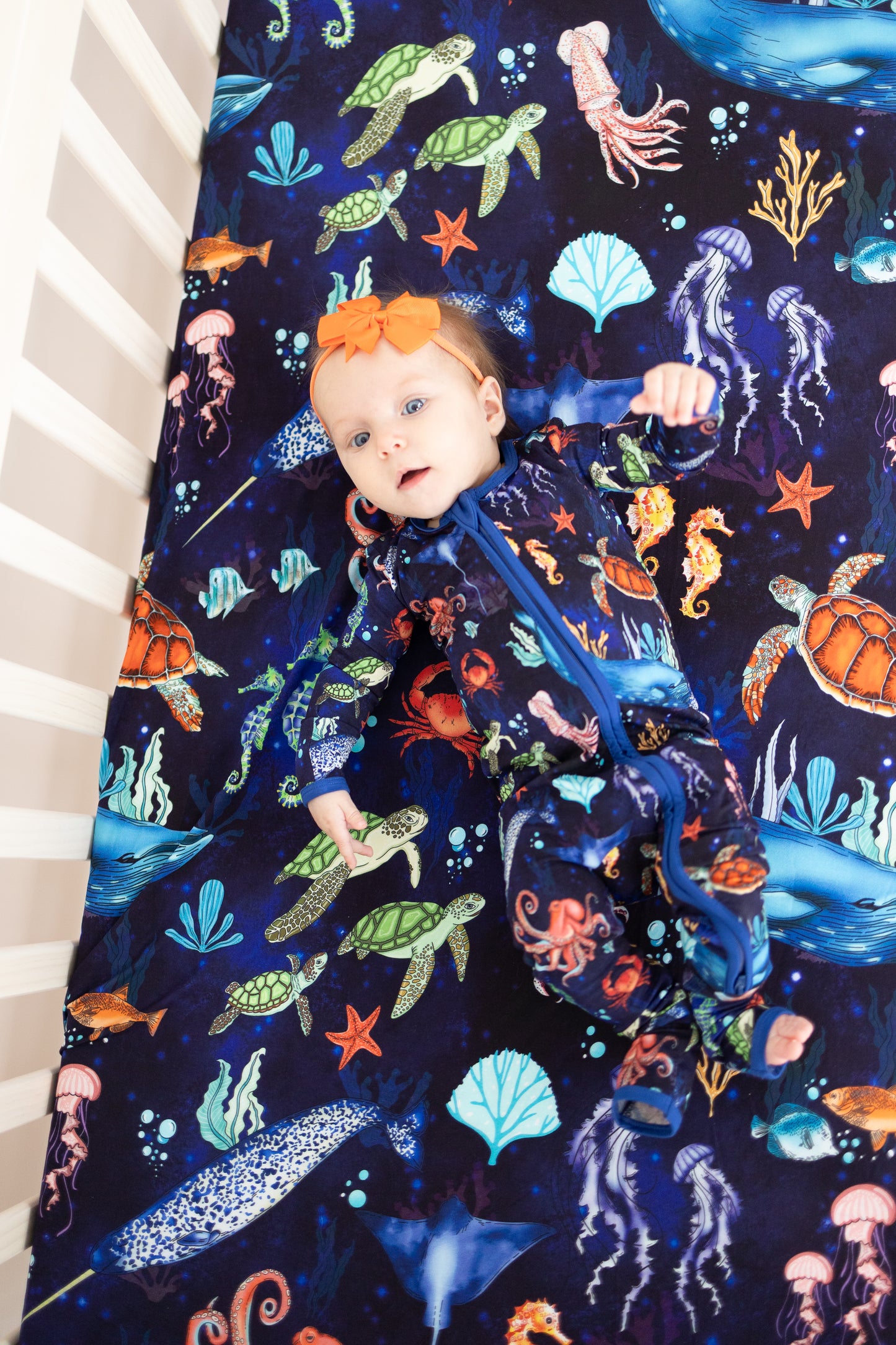 Deep Blue Sea Convertible Zippy