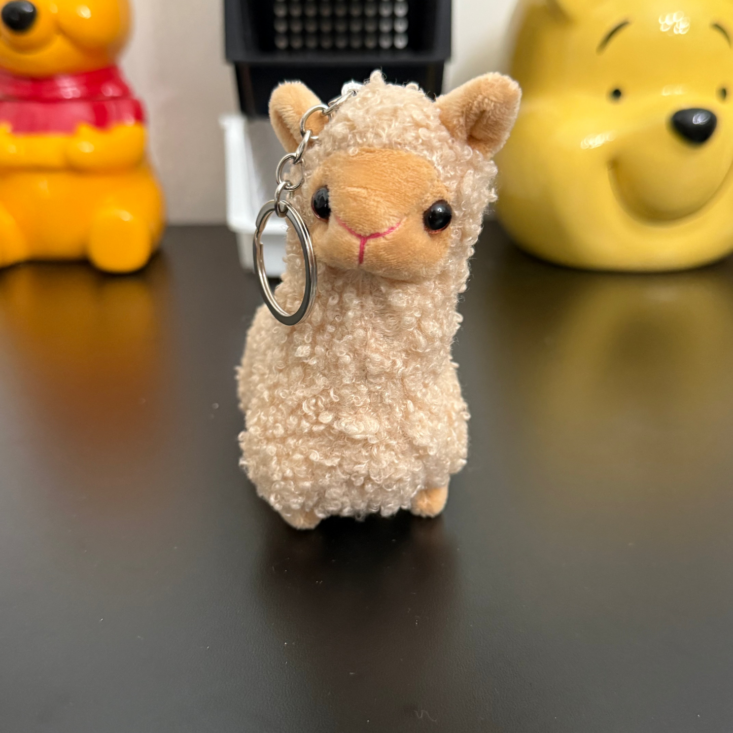Bag Charm 8 Options!