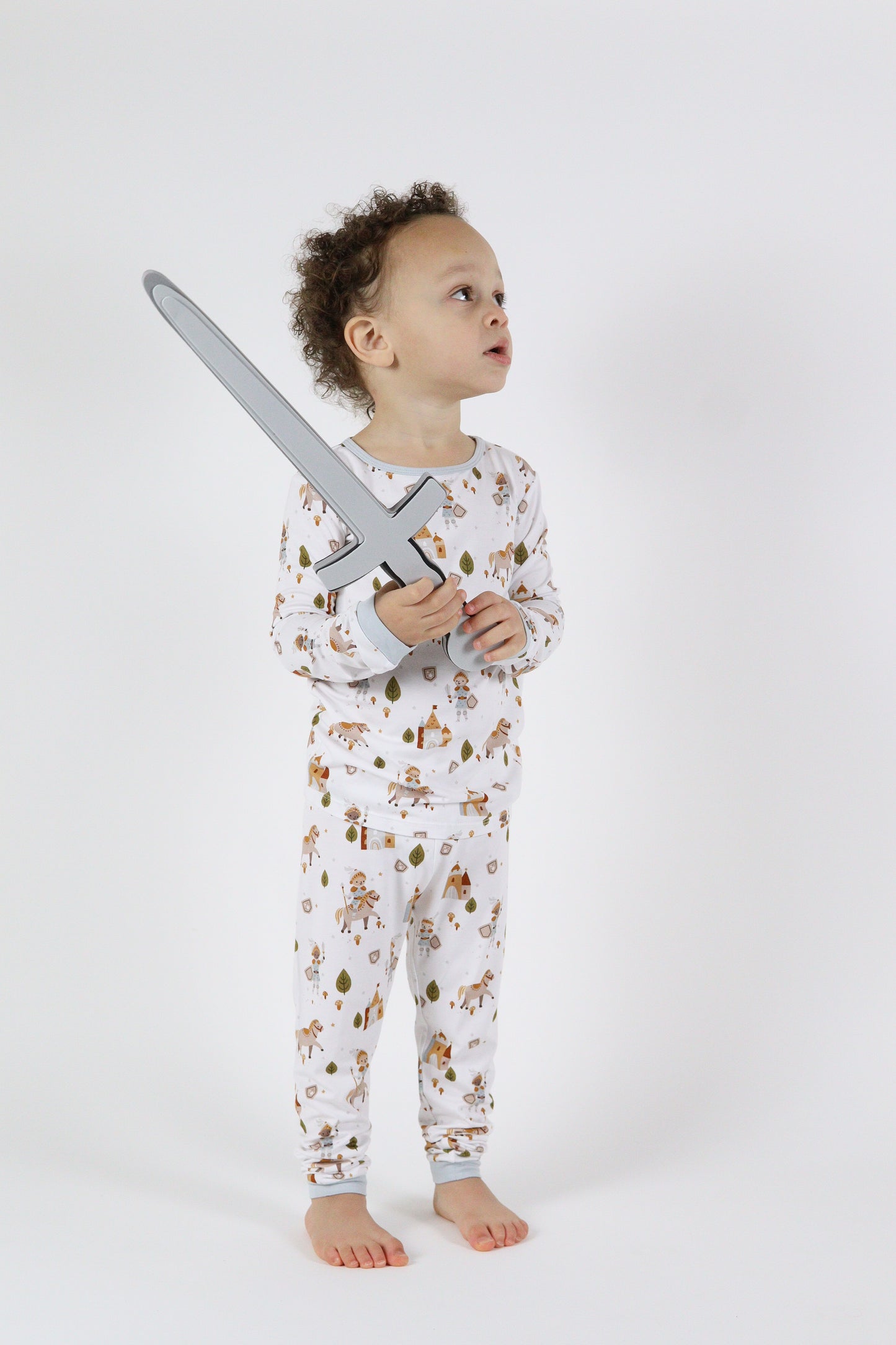 Knights 2pc Long Sleeve Toddler Pajamas