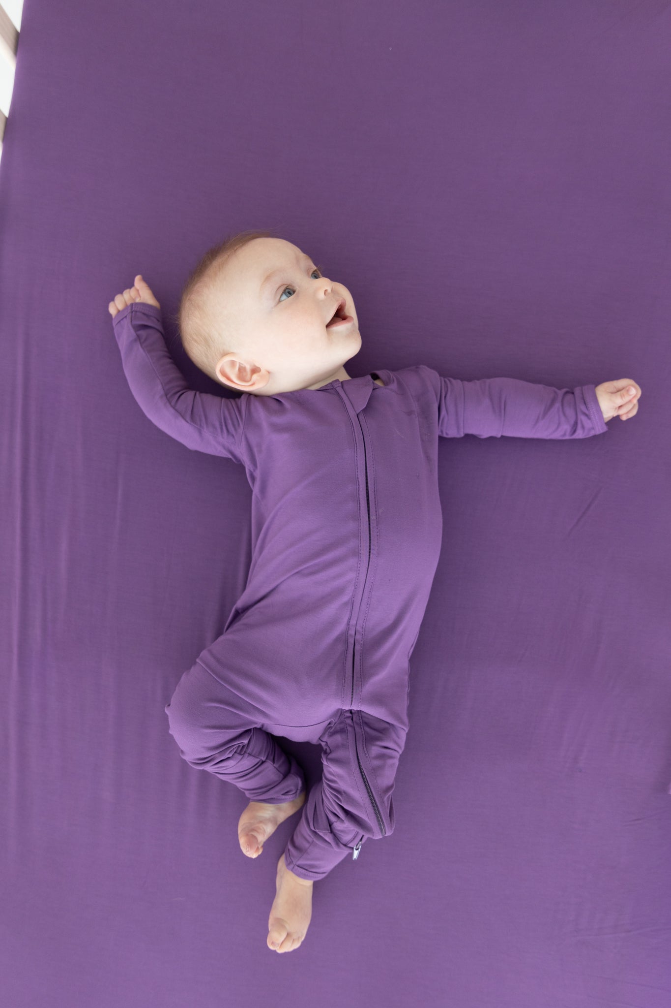 Amethyst Convertible Zippy