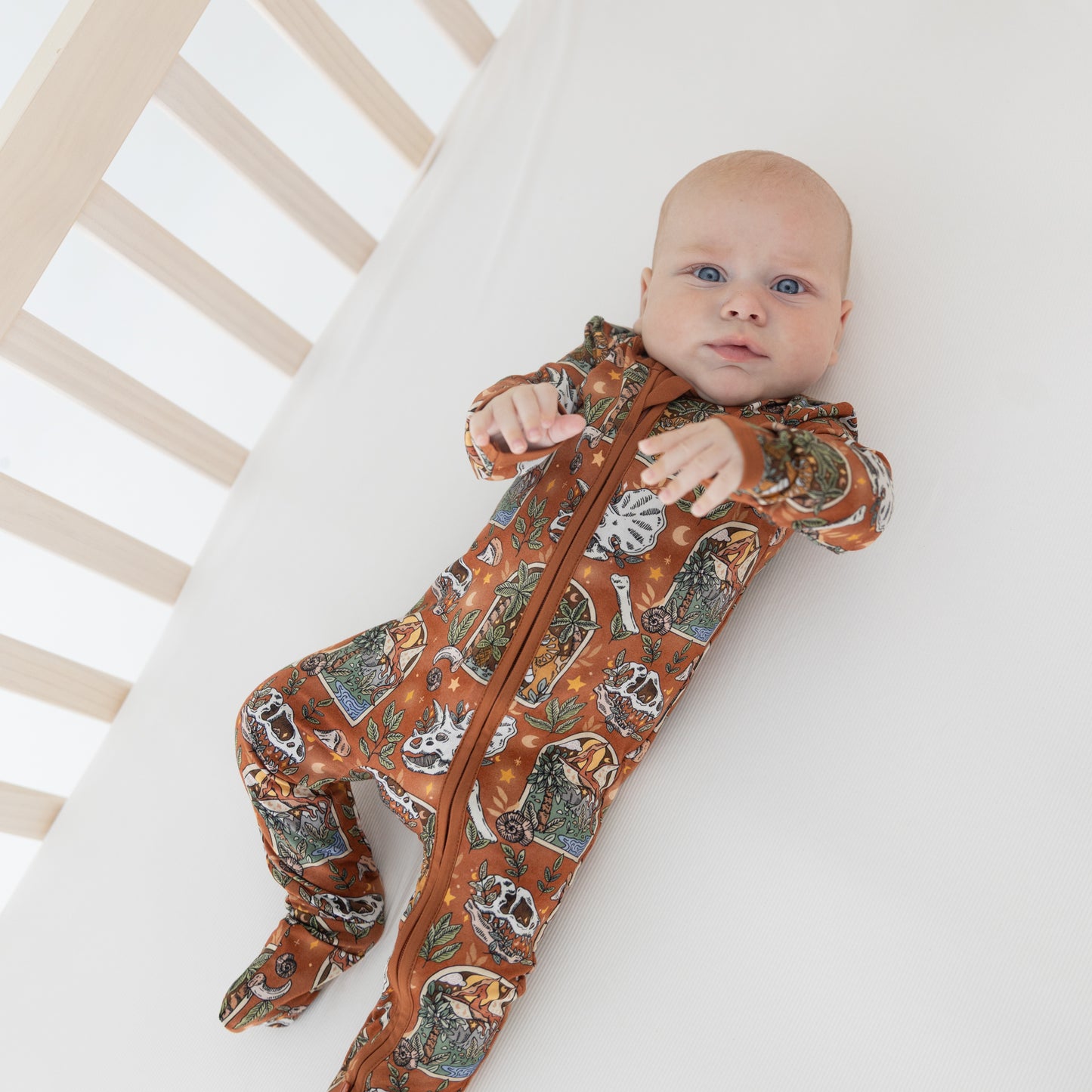 Paleo Nights Convertible Zippy