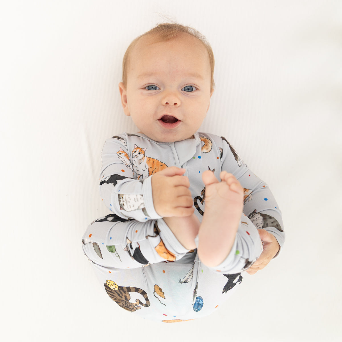House Cats Convertible Zippy