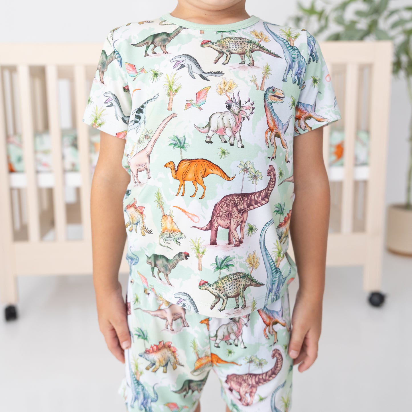 Dino World 2pc Short Sleeve Lounge Set