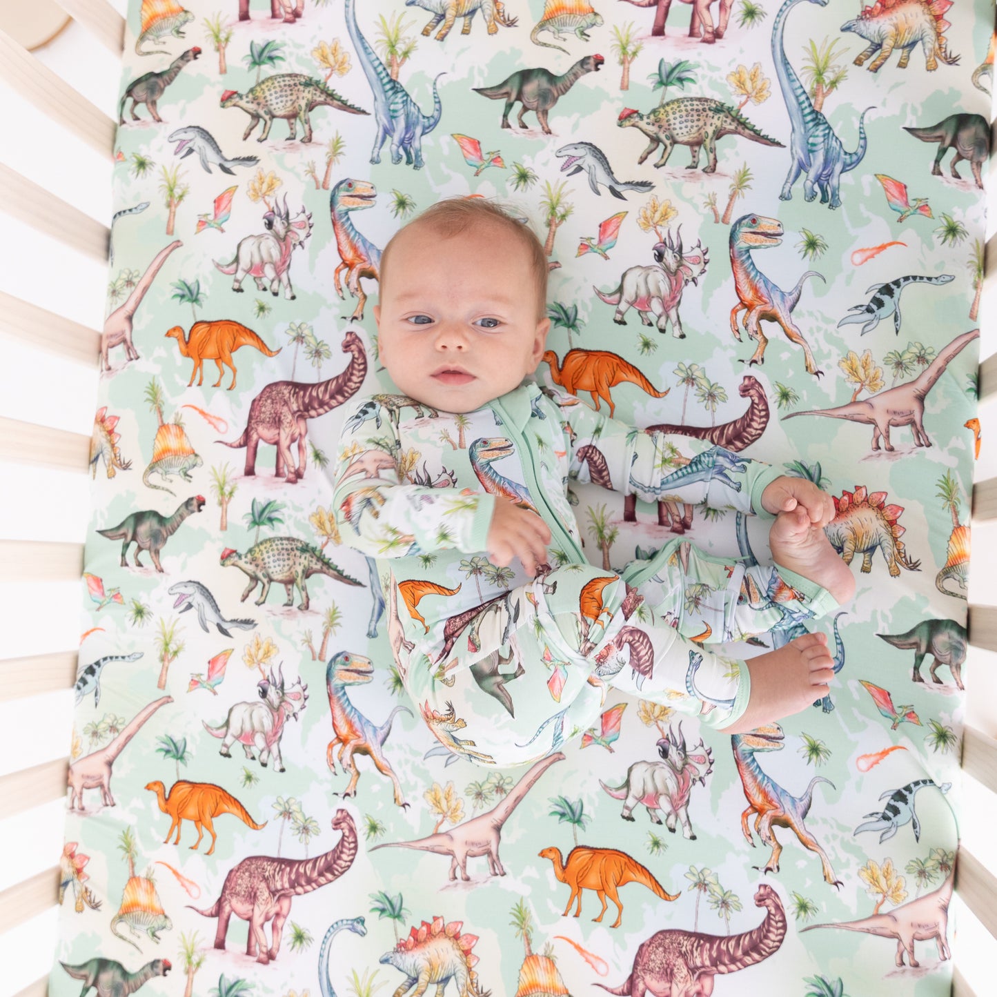Dino World Convertible Zippy