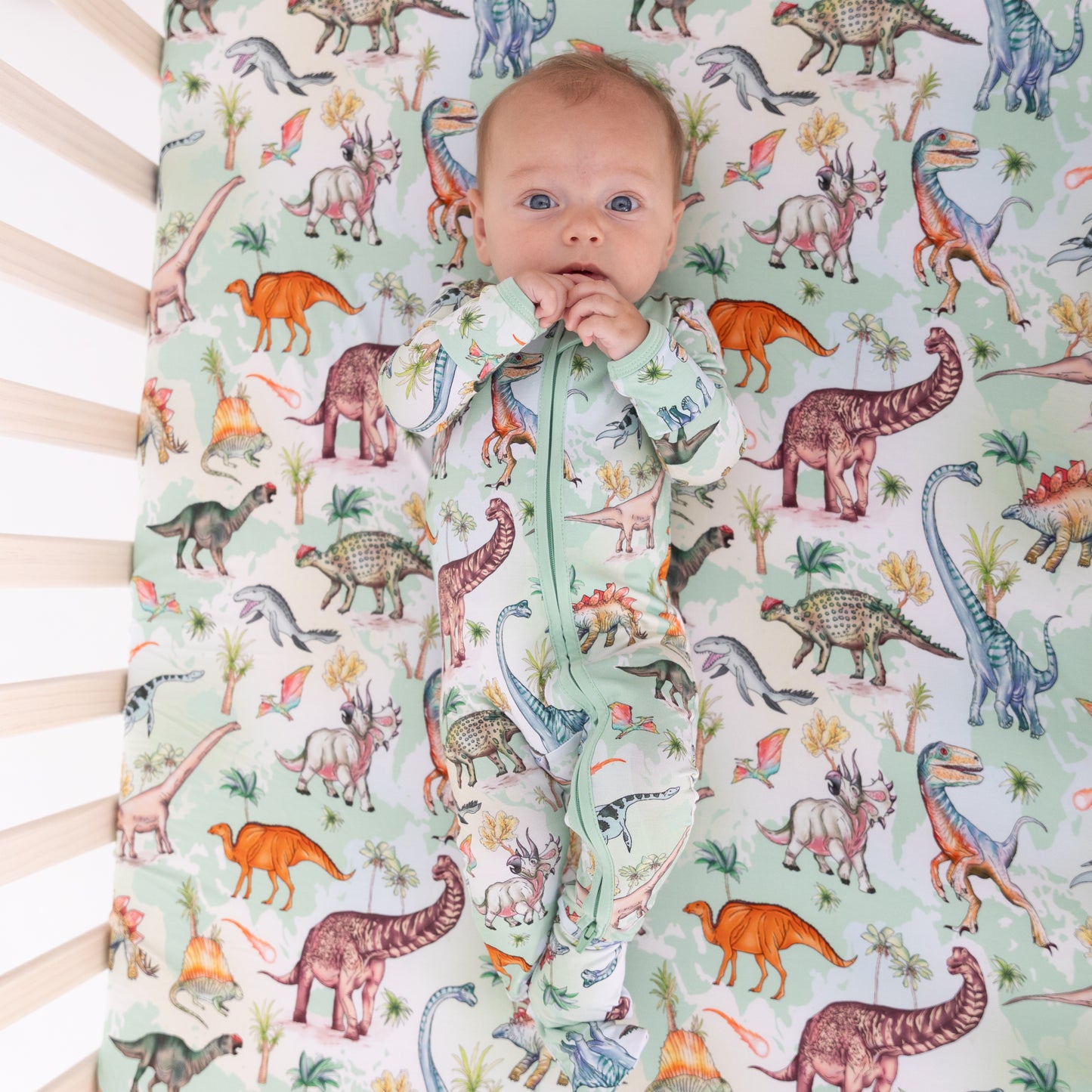 Dino World Convertible Zippy