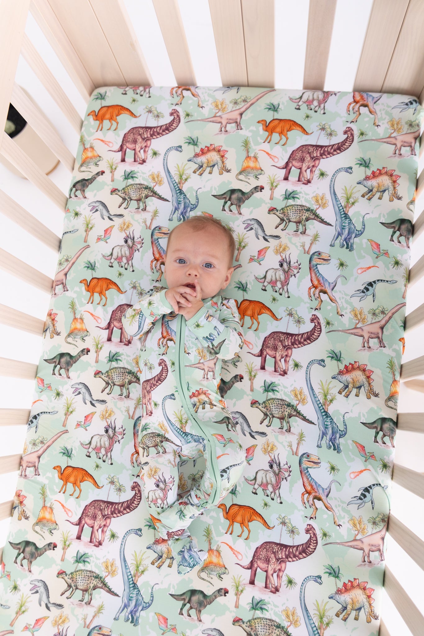 Dino World Convertible Zippy