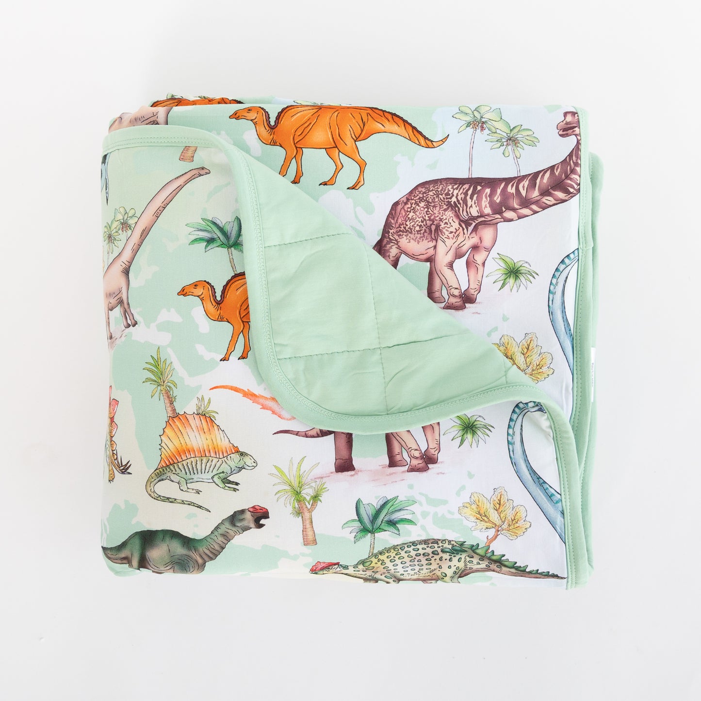 Dino World Snuggle Blankets (3 sizes)